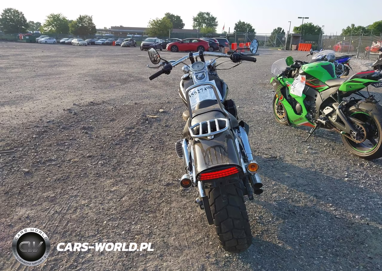 2010 Harley-Davidson Fxdf VIN:1HD1GY411AC316202 - 6