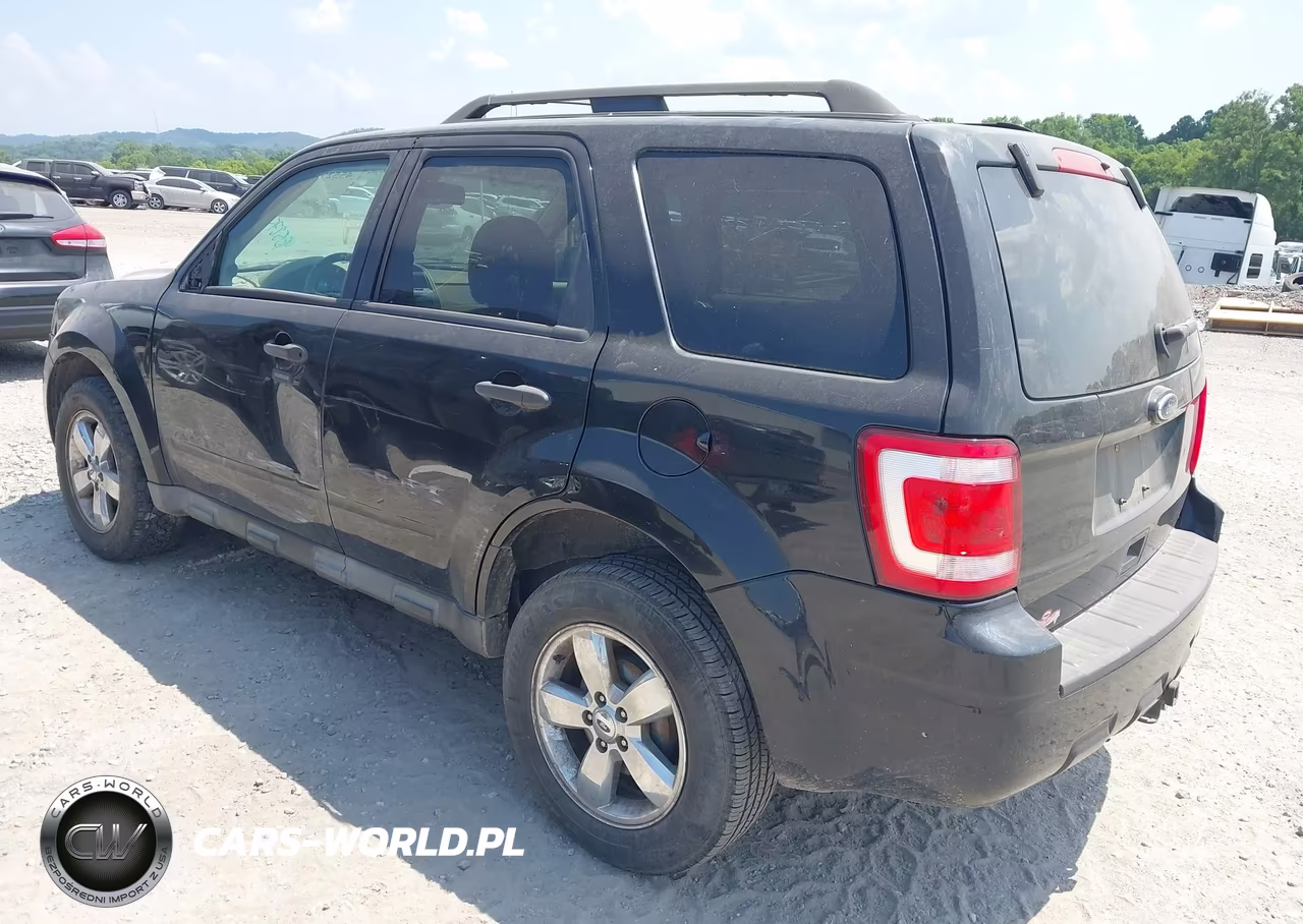 2010 Ford Escape Xlt VIN:1FMCU0DG2AKA71873 - 3