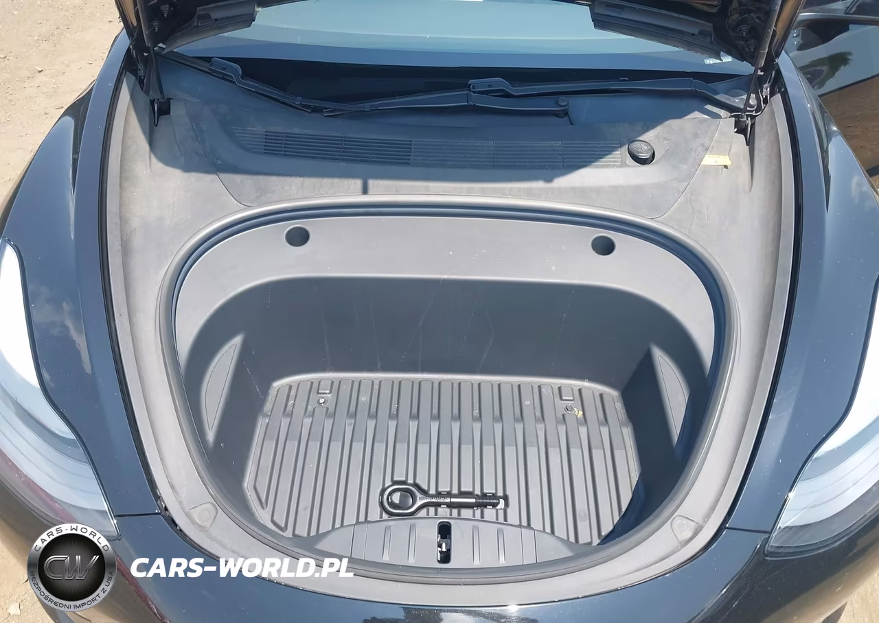 2021 Tesla Model 3 Long Range Dual Motor All-Wheel Drive VIN:5YJ3E1EB2MF979493 - 10