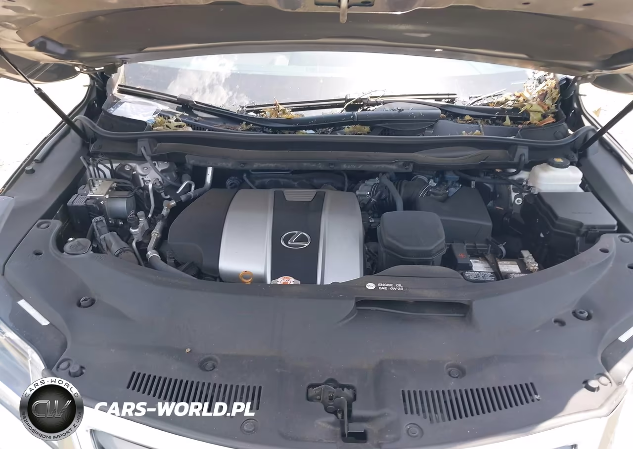 2019 Lexus Rx 350 VIN:2T2BZMCA4KC202175 - 10