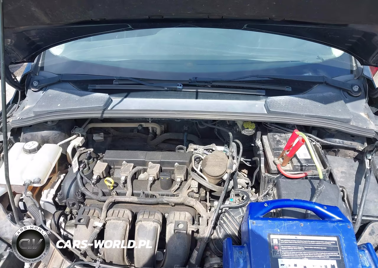 2016 Ford Focus Se VIN:1FADP3F21GL262437 - 10