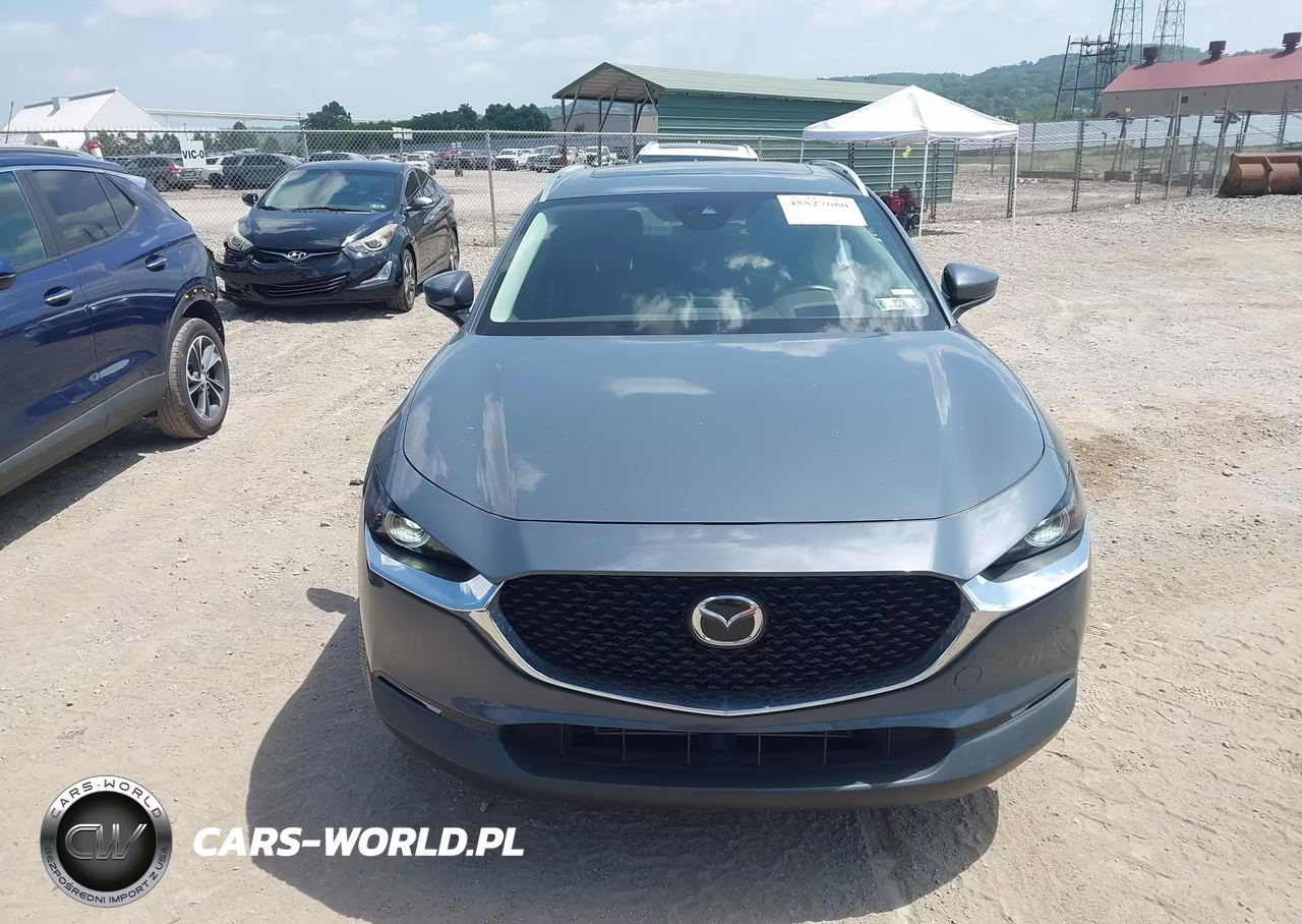 2021 Mazda Cx-30 Premium VIN:3MVDMBDLXMM301074 - 12