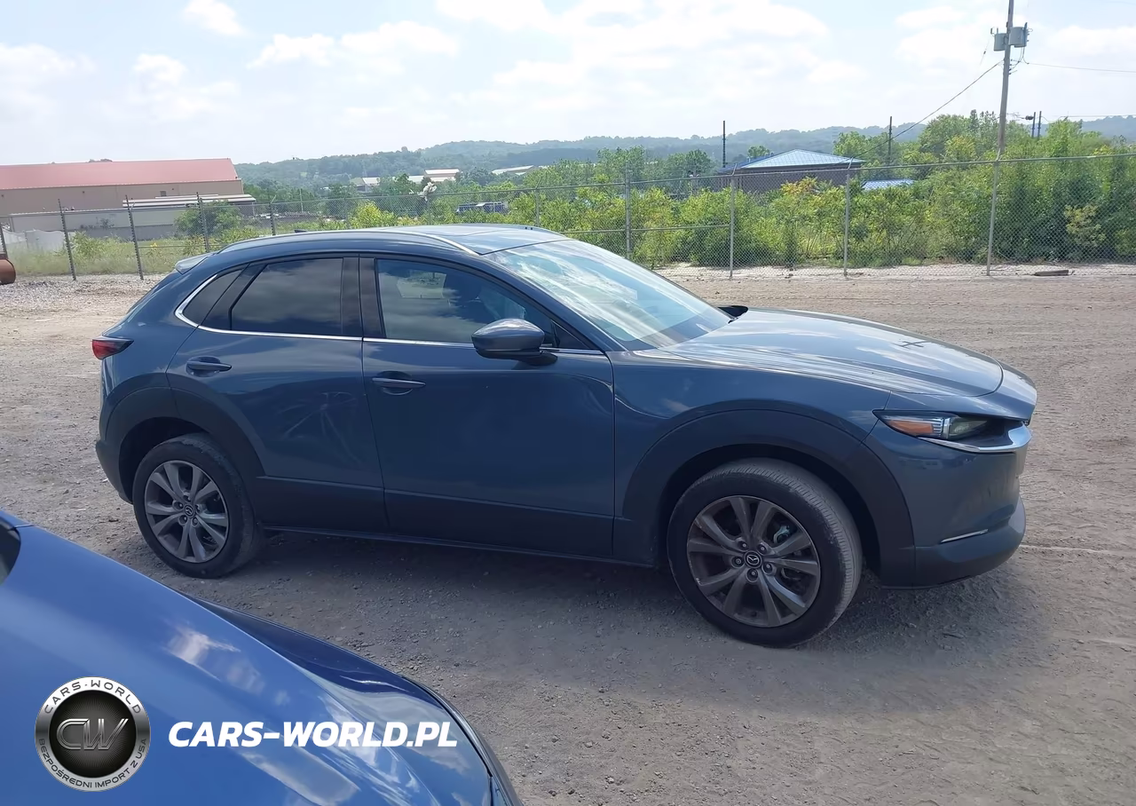 2021 Mazda Cx-30 Premium VIN:3MVDMBDLXMM301074 - 13