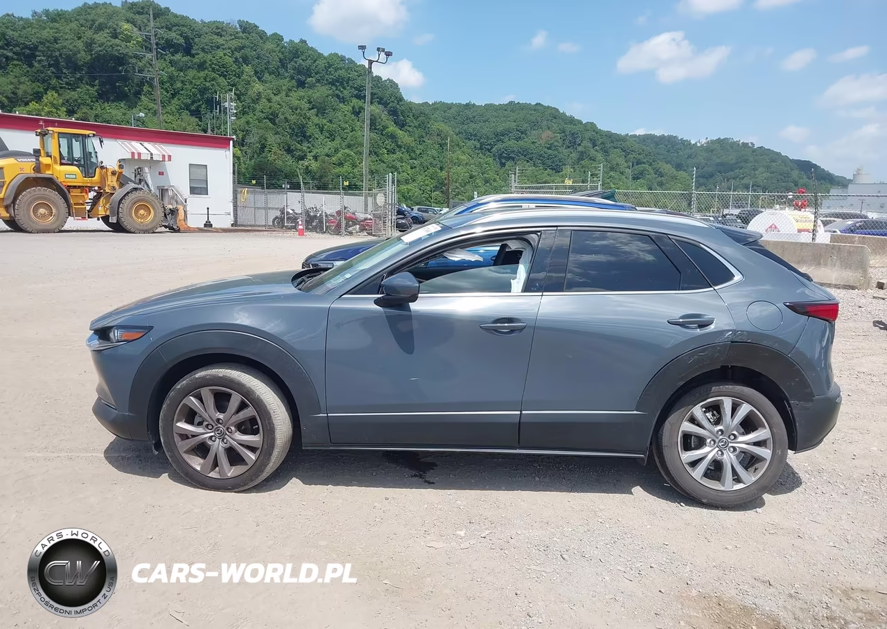 2021 Mazda Cx-30 Premium VIN:3MVDMBDLXMM301074 - 14