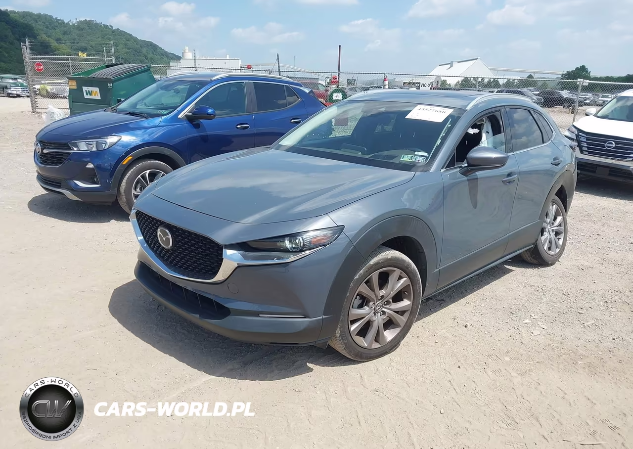 2021 Mazda Cx-30 Premium VIN:3MVDMBDLXMM301074 - 2