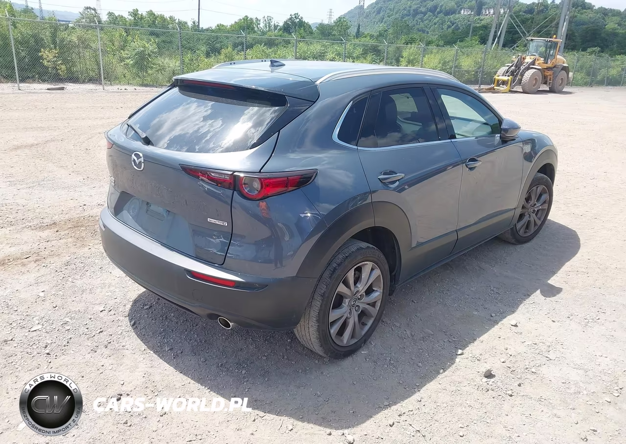 2021 Mazda Cx-30 Premium VIN:3MVDMBDLXMM301074 - 4