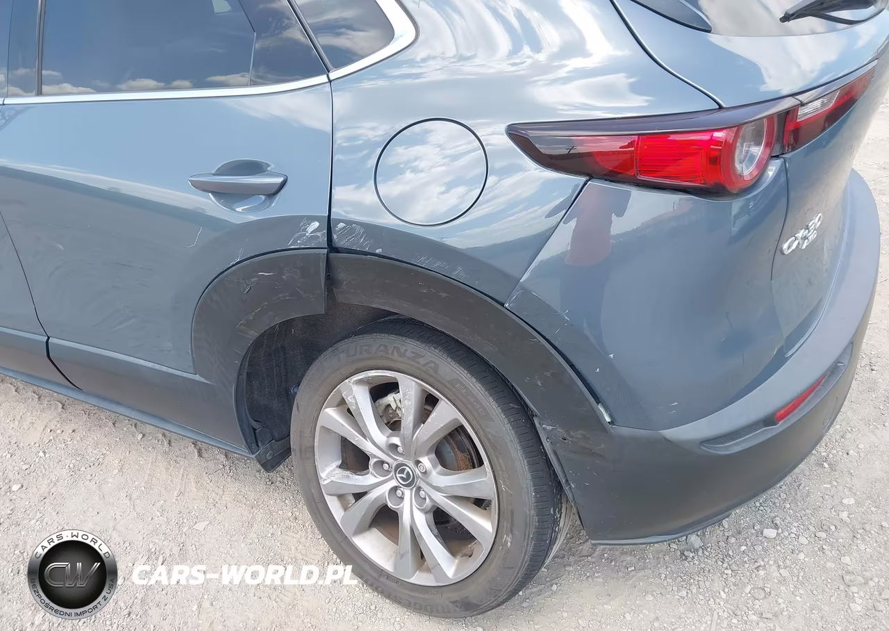 2021 Mazda Cx-30 Premium VIN:3MVDMBDLXMM301074 - 6