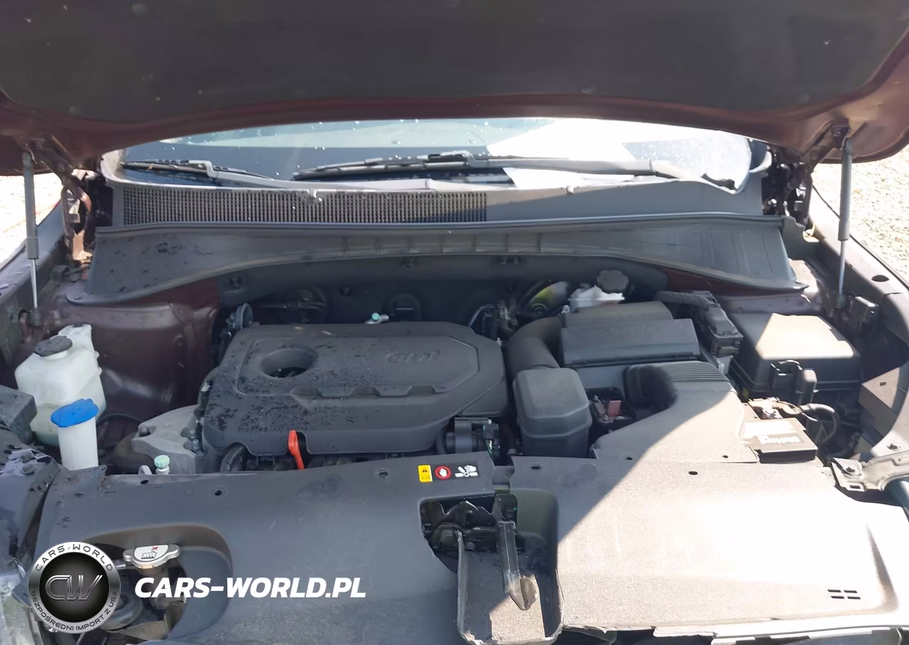 2018 Kia Sorento 2.4L Lx VIN:5XYPG4A37JG361067 - 10