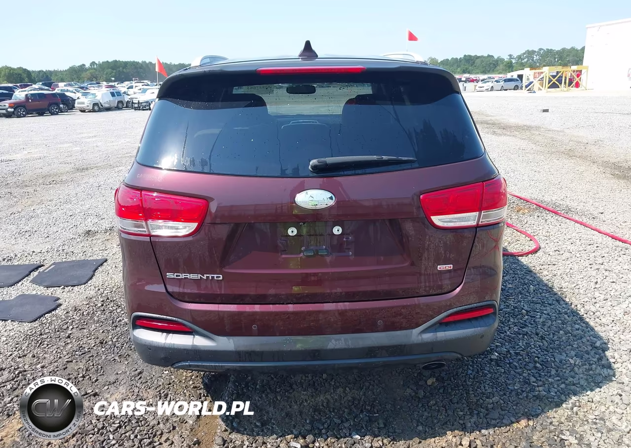 2018 Kia Sorento 2.4L Lx VIN:5XYPG4A37JG361067 - 16