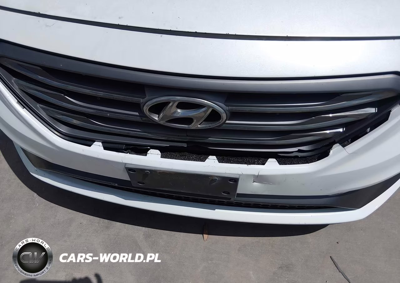 2015 Hyundai Sonata Sport VIN:5NPE34AF5FH092919 - 17