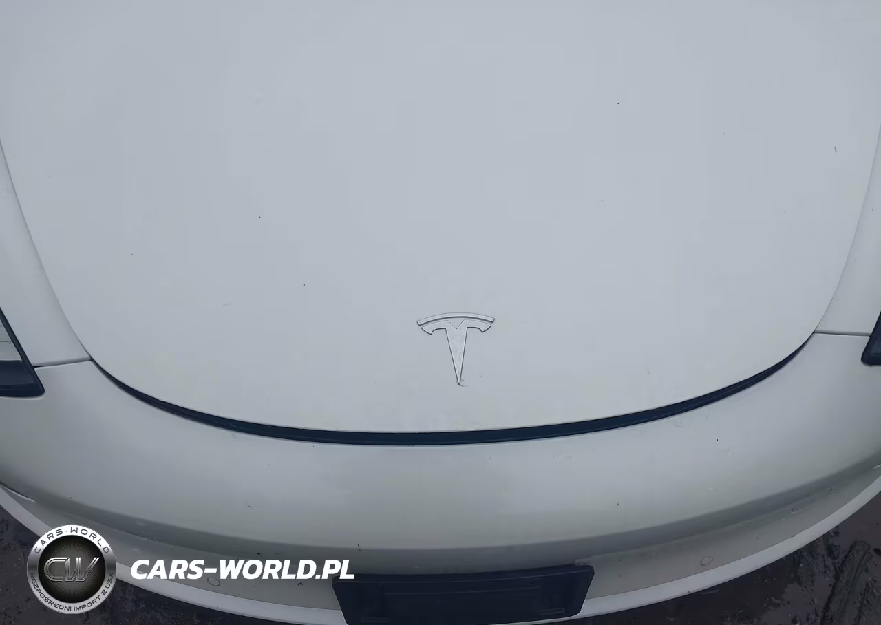 2020 Tesla Model 3 Long Range Dual Motor All-Wheel Drive VIN:5YJ3E1EB5LF618094 - 10