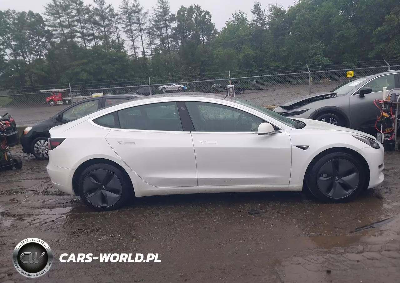 2020 Tesla Model 3 Long Range Dual Motor All-Wheel Drive VIN:5YJ3E1EB5LF618094 - 13