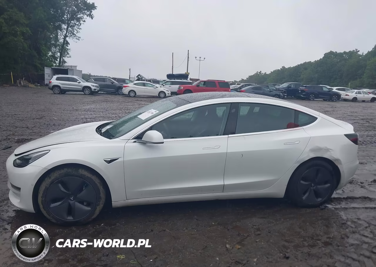 2020 Tesla Model 3 Long Range Dual Motor All-Wheel Drive VIN:5YJ3E1EB5LF618094 - 14