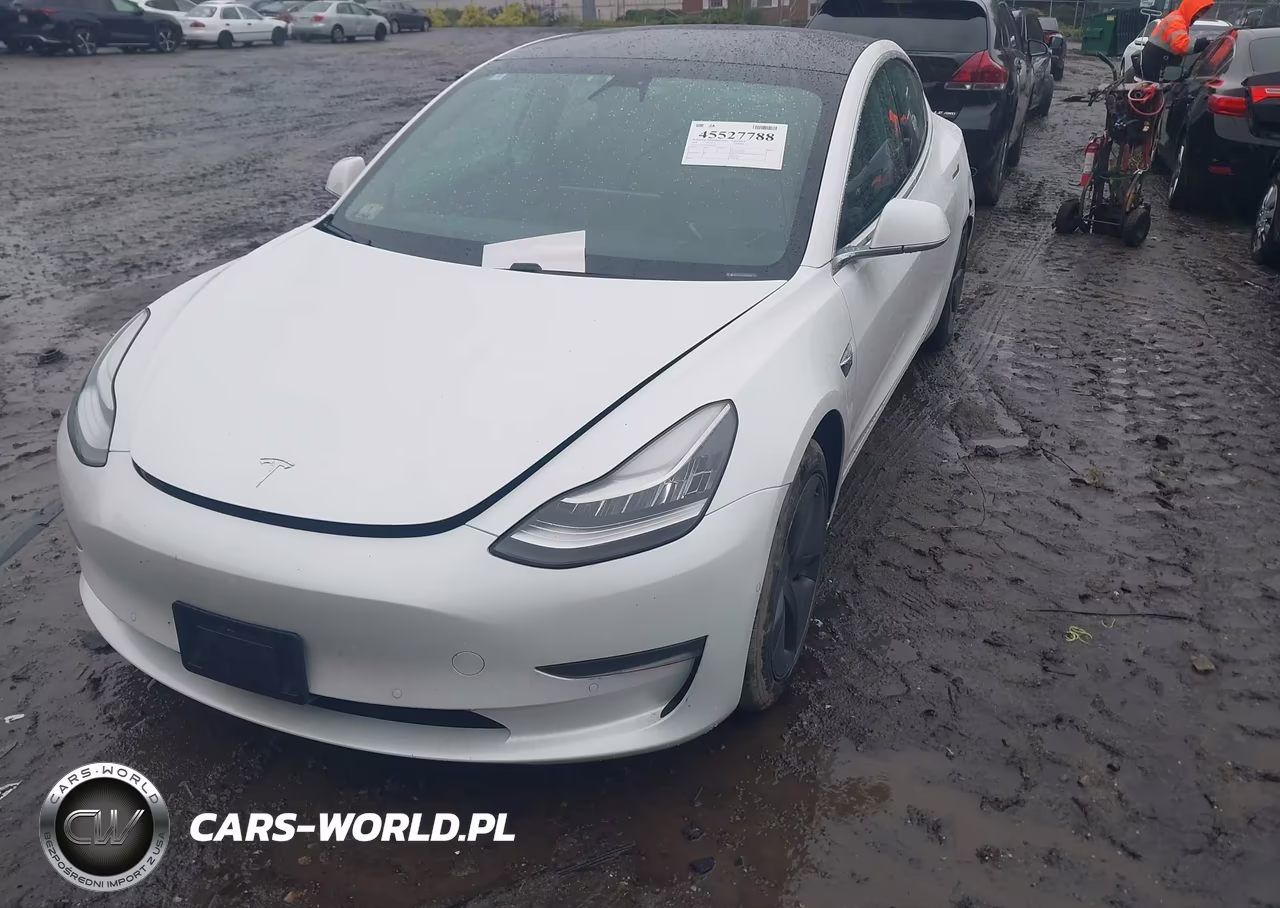 2020 Tesla Model 3 Long Range Dual Motor All-Wheel Drive VIN:5YJ3E1EB5LF618094 - 2