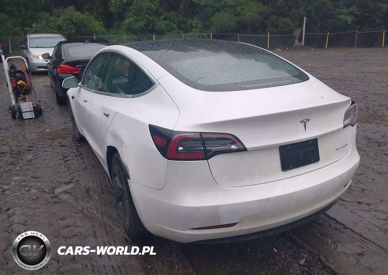 2020 Tesla Model 3 Long Range Dual Motor All-Wheel Drive VIN:5YJ3E1EB5LF618094 - 3
