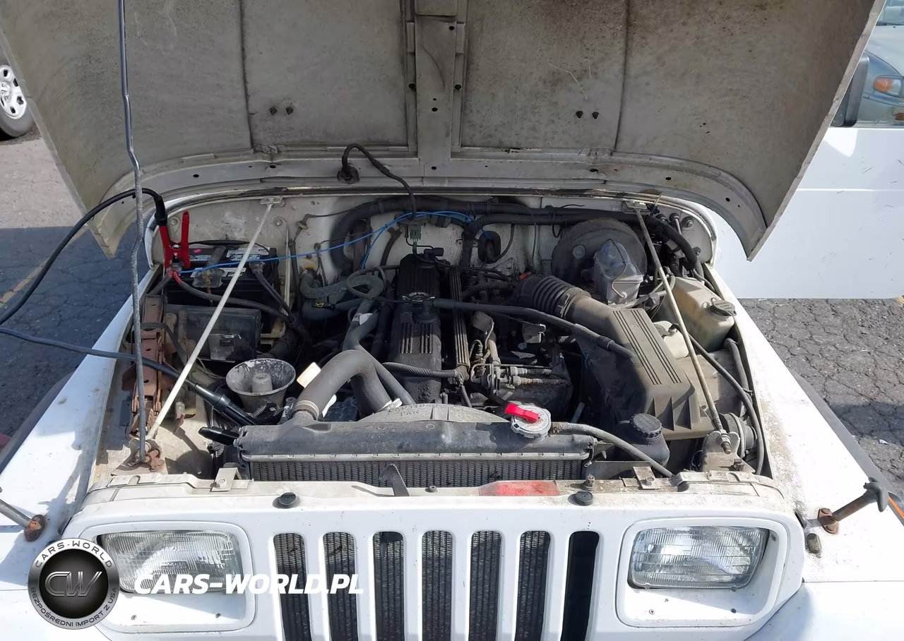 1994 Jeep Wrangler - Yj Se VIN:1J4FY29SXRP467511 - 10