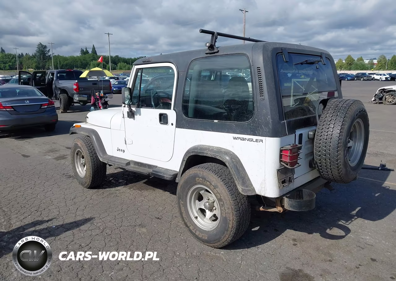 1994 Jeep Wrangler - Yj Se VIN:1J4FY29SXRP467511 - 3