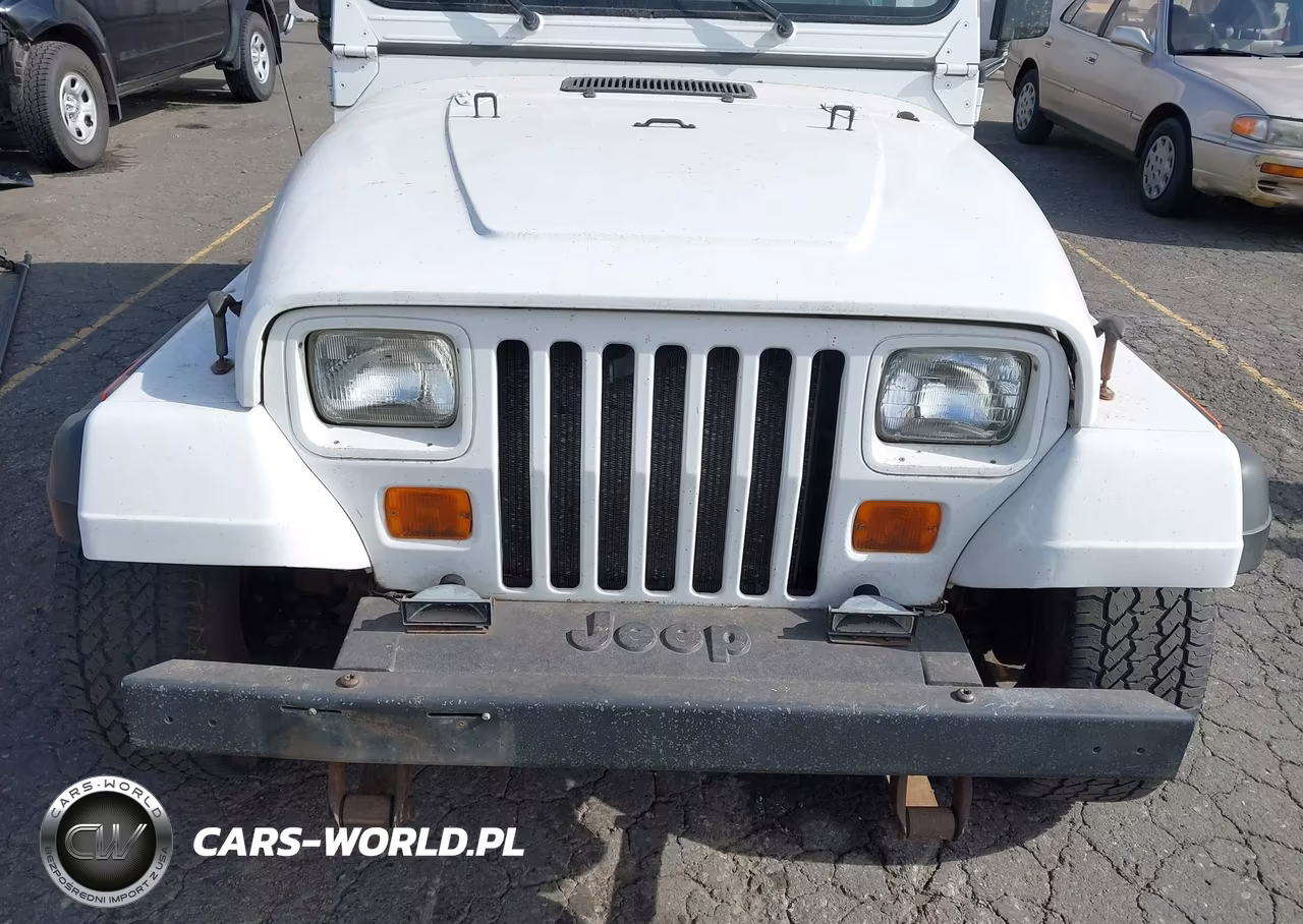 1994 Jeep Wrangler - Yj Se VIN:1J4FY29SXRP467511 - 6