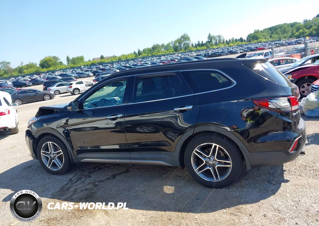 2017 Hyundai Santa Fe Limited Ultimate VIN:KM8SRDHF6HU208821 - 14