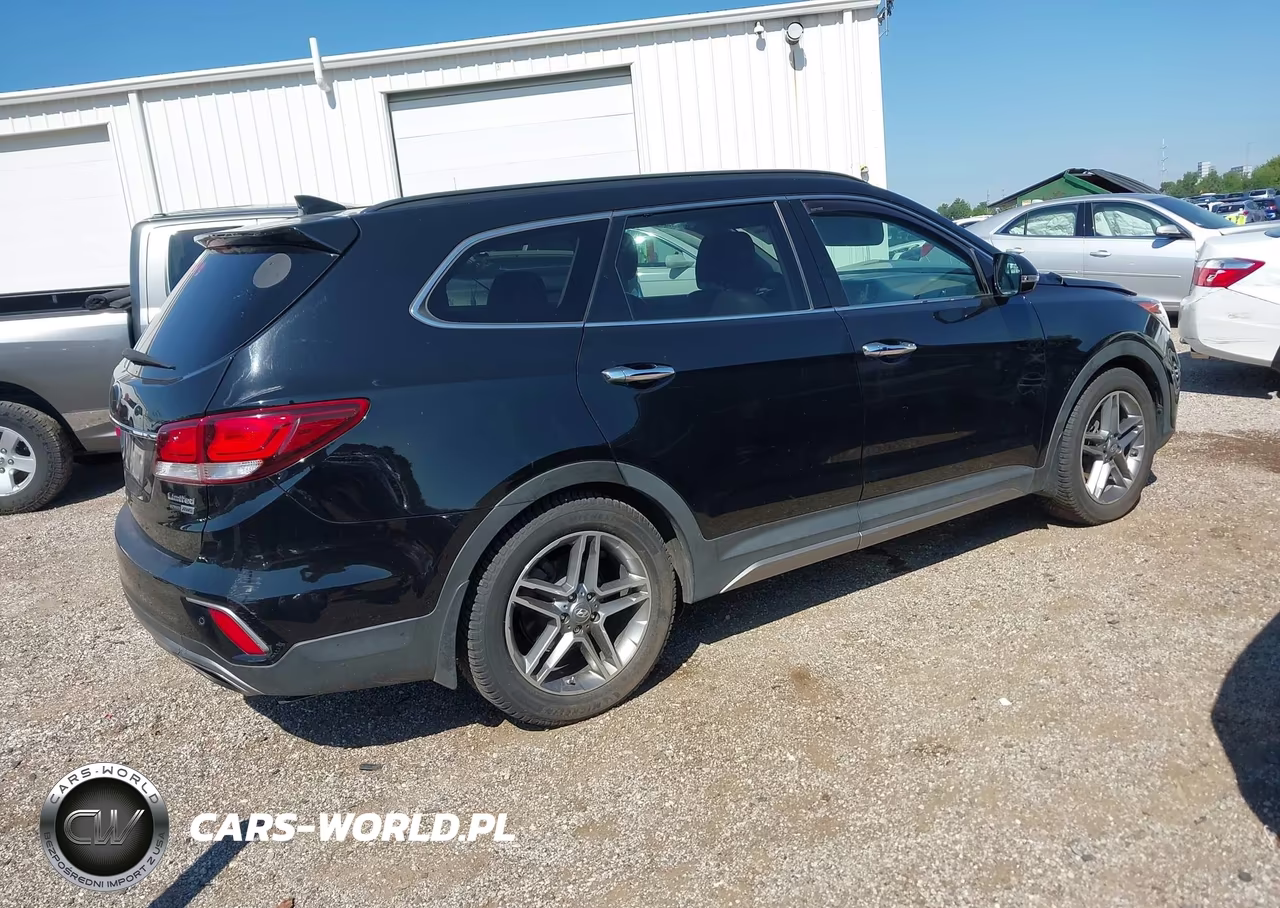 2017 Hyundai Santa Fe Limited Ultimate VIN:KM8SRDHF6HU208821 - 4