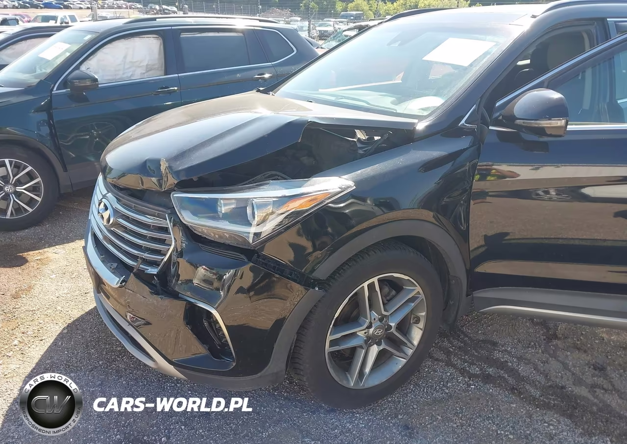 2017 Hyundai Santa Fe Limited Ultimate VIN:KM8SRDHF6HU208821 - 6