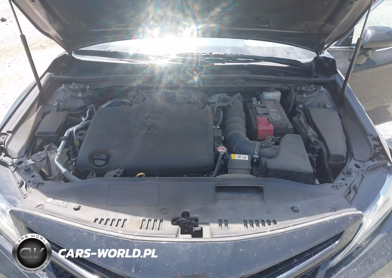 2019 Toyota Camry Xse V6 VIN:4T1BZ1HK1KU032067 - 10