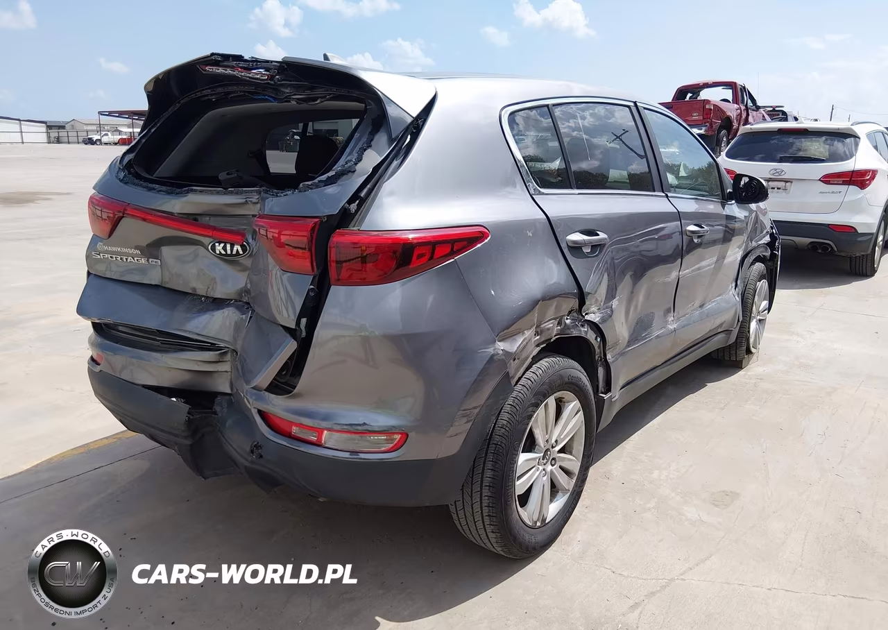 2017 Kia Sportage Lx VIN:KNDPM3ACXH7161004 - 4
