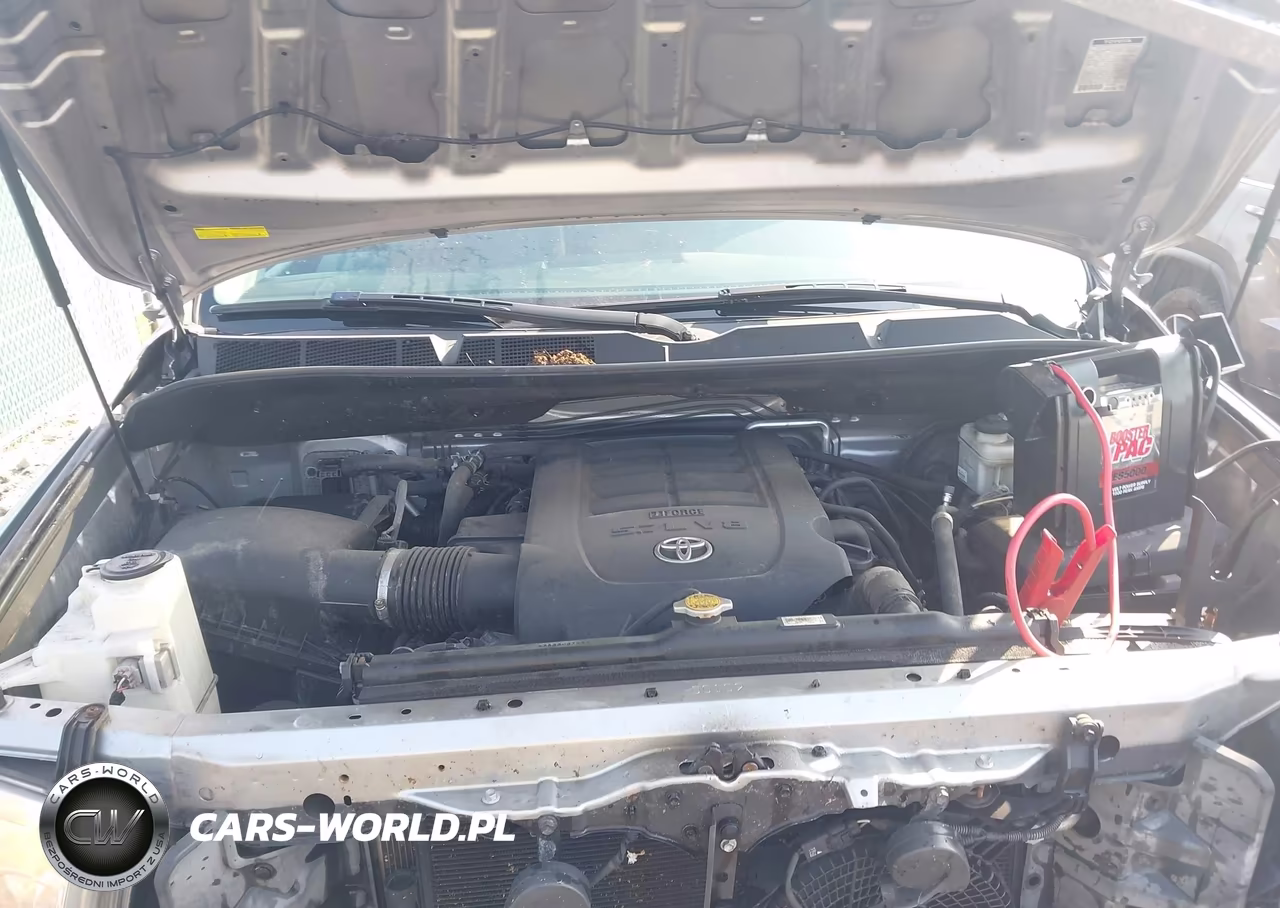 2016 Toyota Sequoia Sr5 5.7L V8 VIN:5TDBW5G17GS146213 - 10