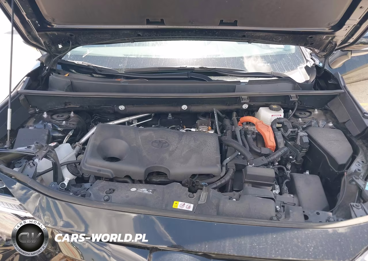 2025 Toyota Rav4 Hybrid Xle VIN:4T3RWRFV5SU182693 - 10