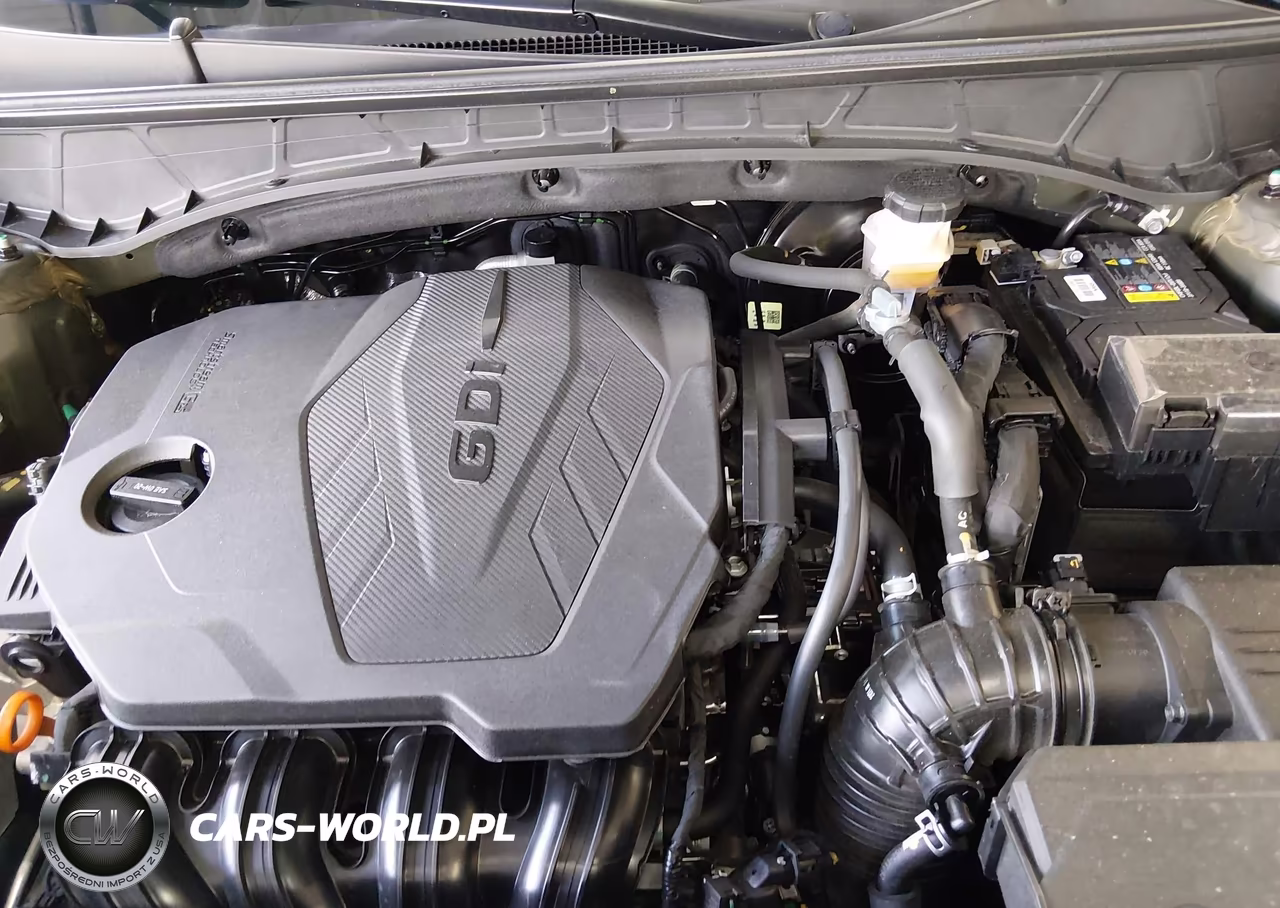 2025 Hyundai Santa Cruz Sel Activity VIN:5NTJCDDEXSH126639 - 10