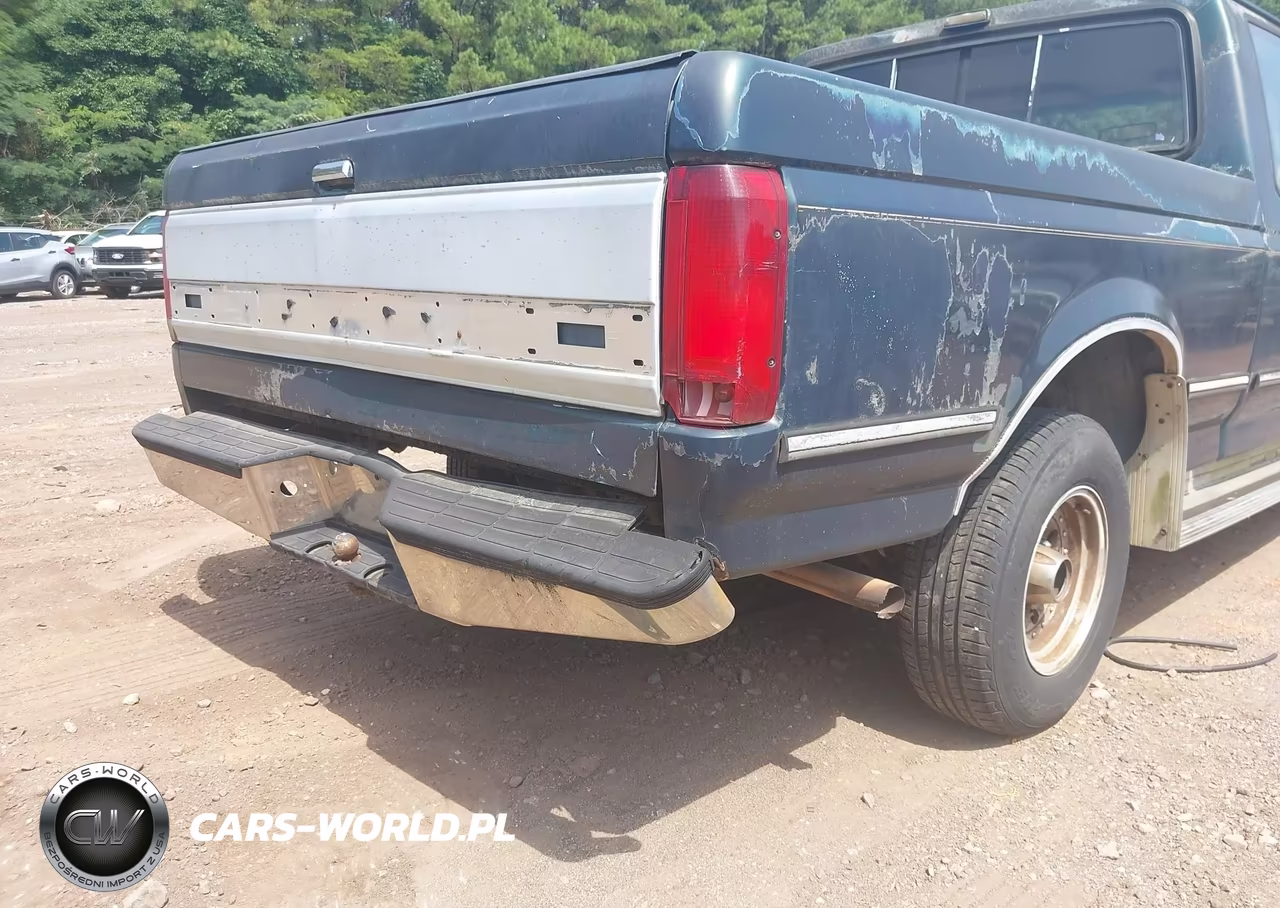 1993 Ford F150 VIN:1FTEX15Y3PKB47031 - 6