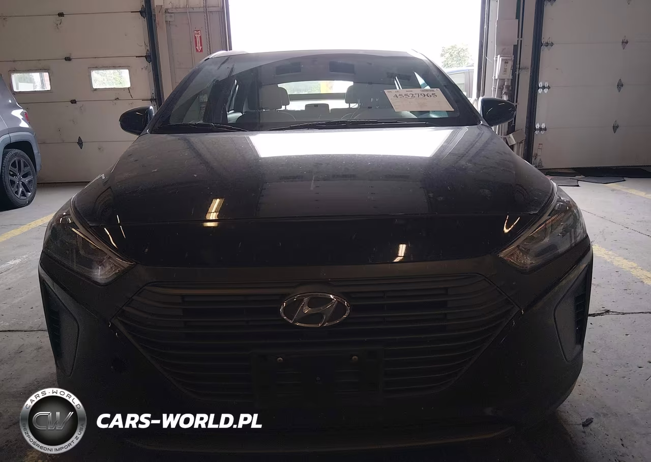 2017 Hyundai Ioniq Hybrid Blue VIN:KMHC65LC4HU022419 - 12