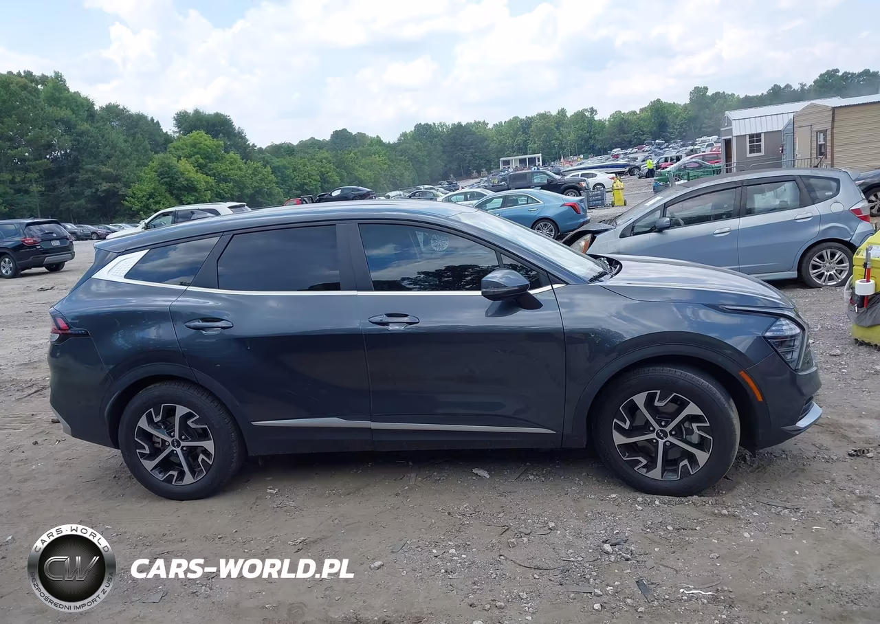 2024 Kia Sportage Ex VIN:5XYK33DF6RG222775 - 13