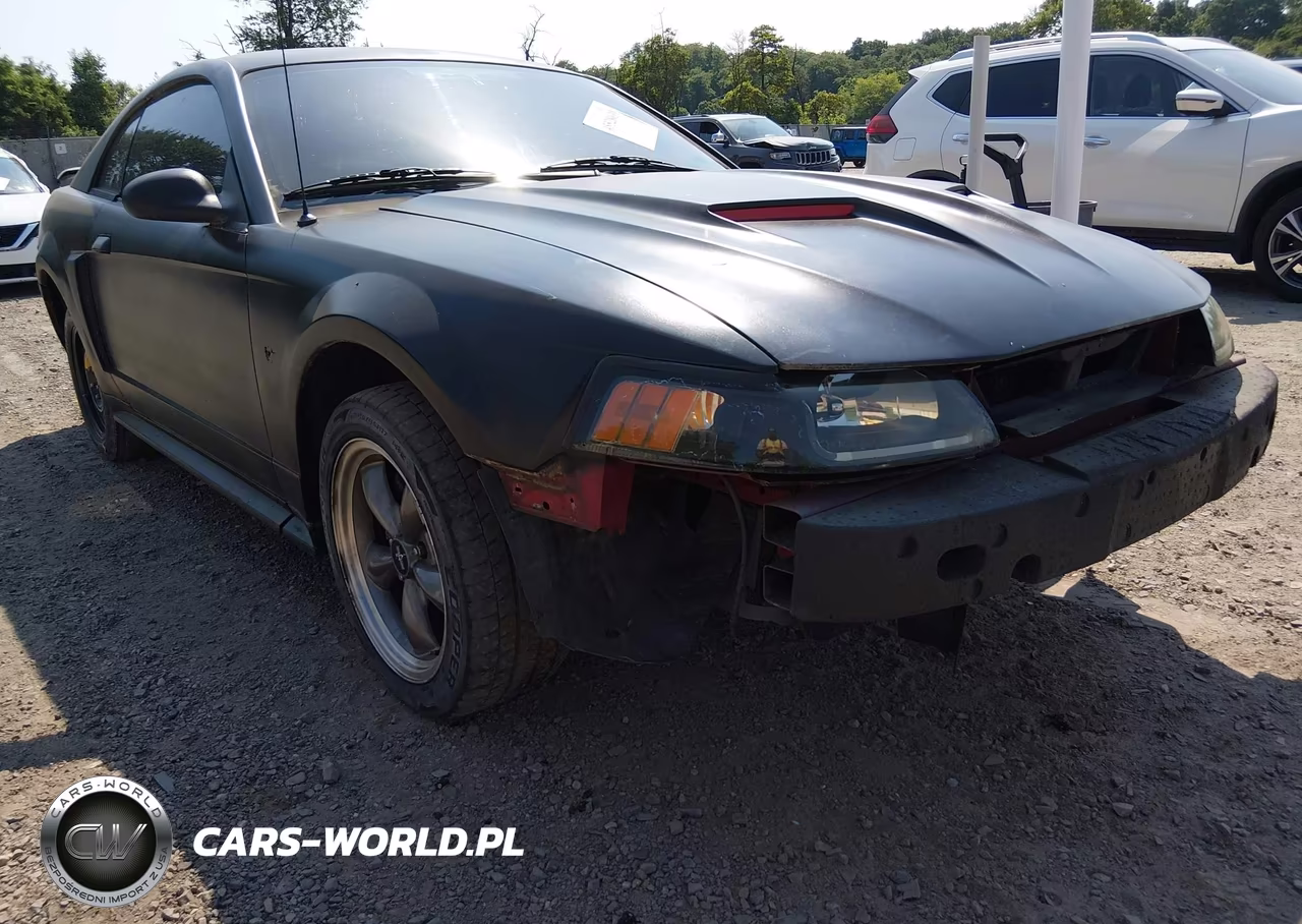 2003 Ford Mustang Gt VIN:1FAFP42X43F341836 - 13