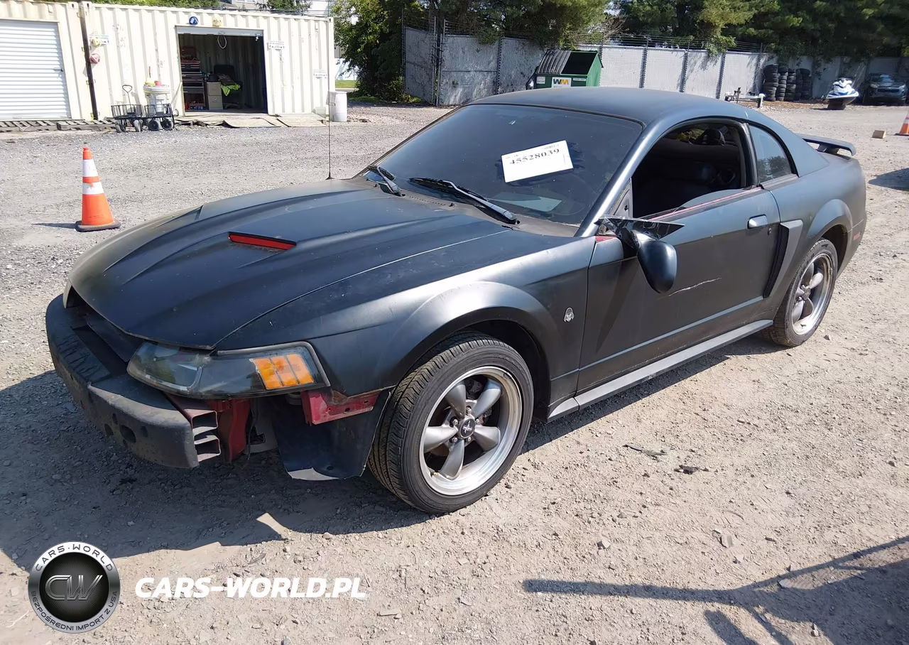 2003 Ford Mustang Gt VIN:1FAFP42X43F341836 - 2