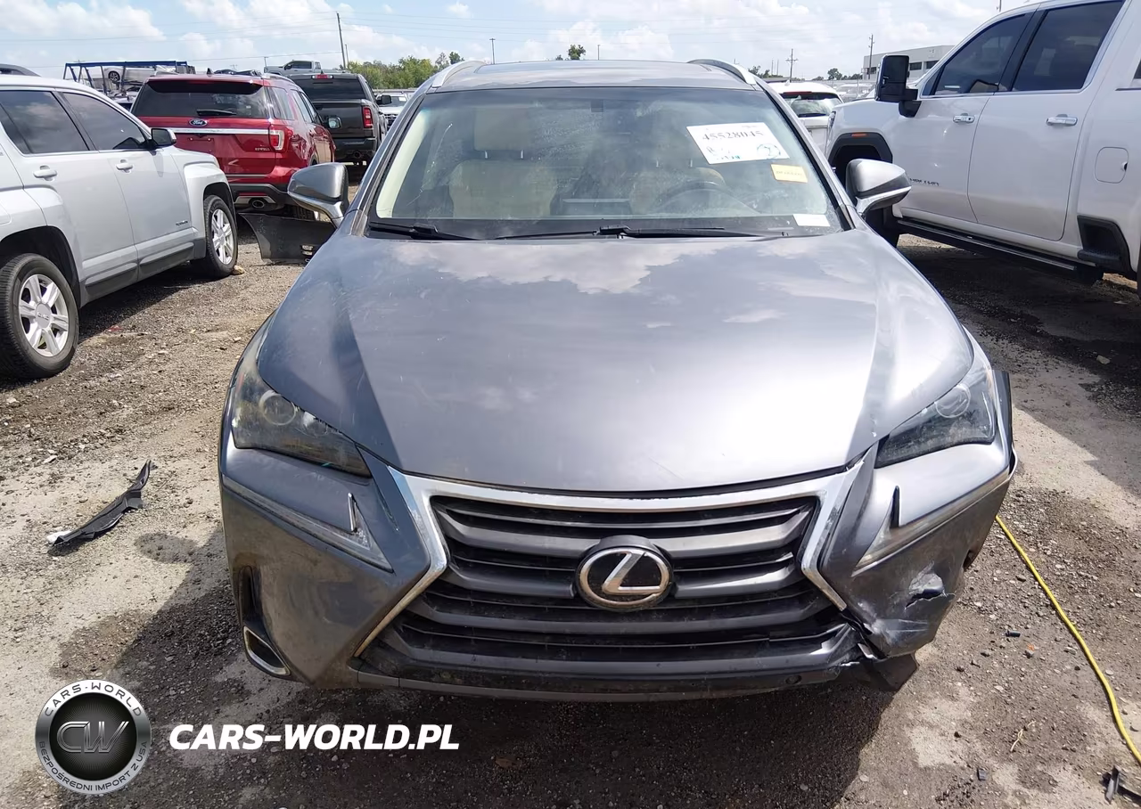 2016 Lexus Nx 200T VIN:JTJYARBZ1G2035190 - 12