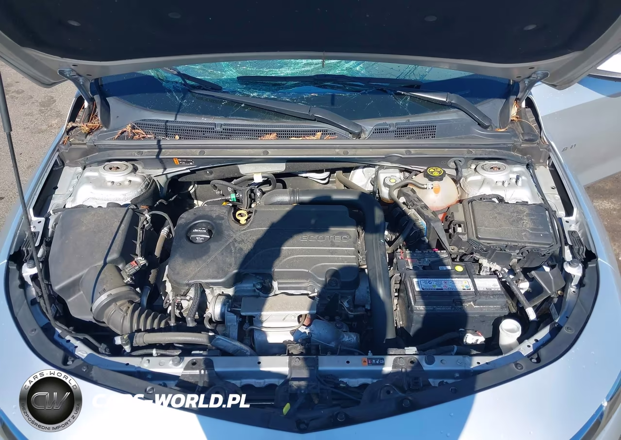 2019 Chevrolet Malibu Lt VIN:1G1ZD5STXKF156670 - 10