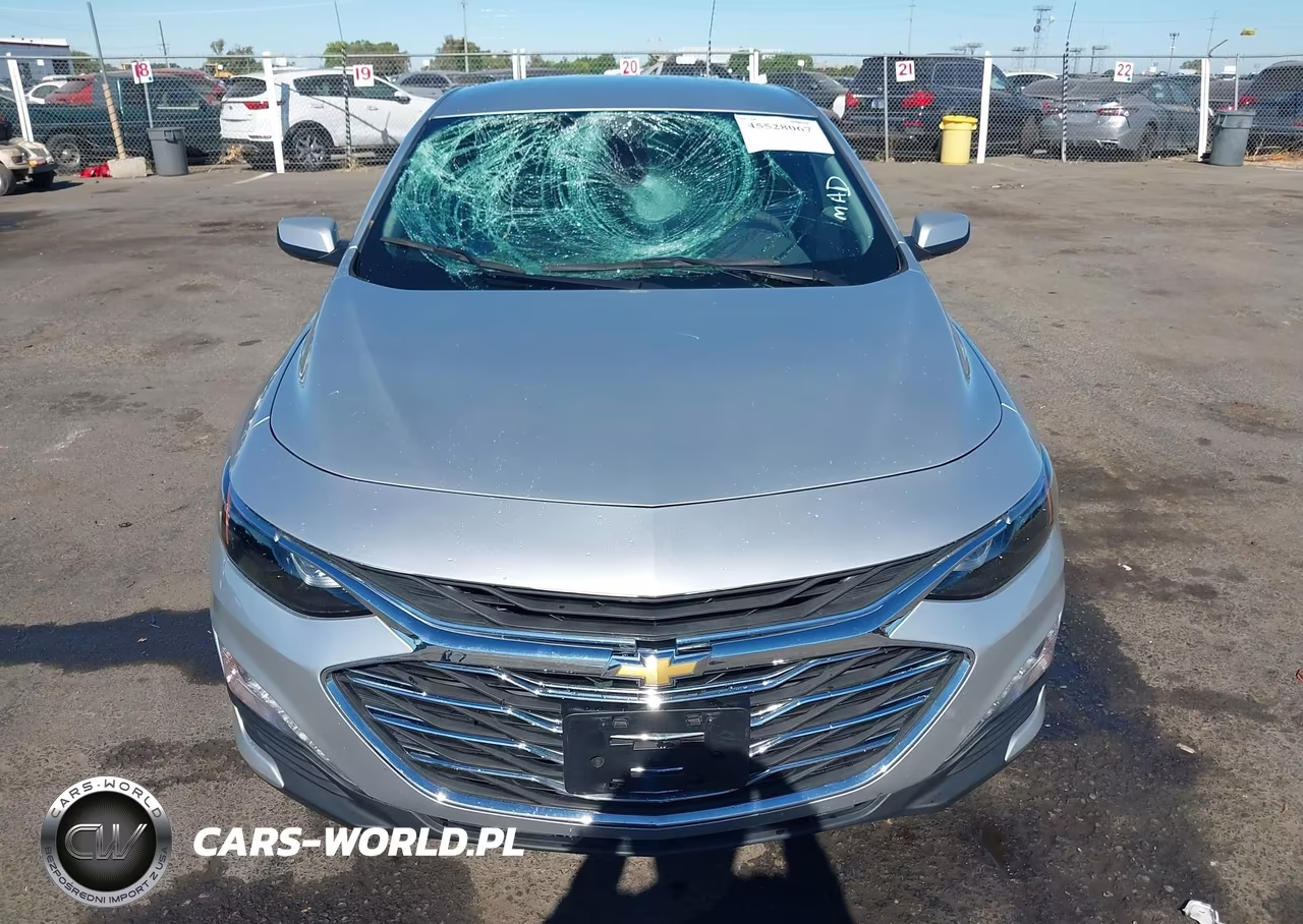 2019 Chevrolet Malibu Lt VIN:1G1ZD5STXKF156670 - 12