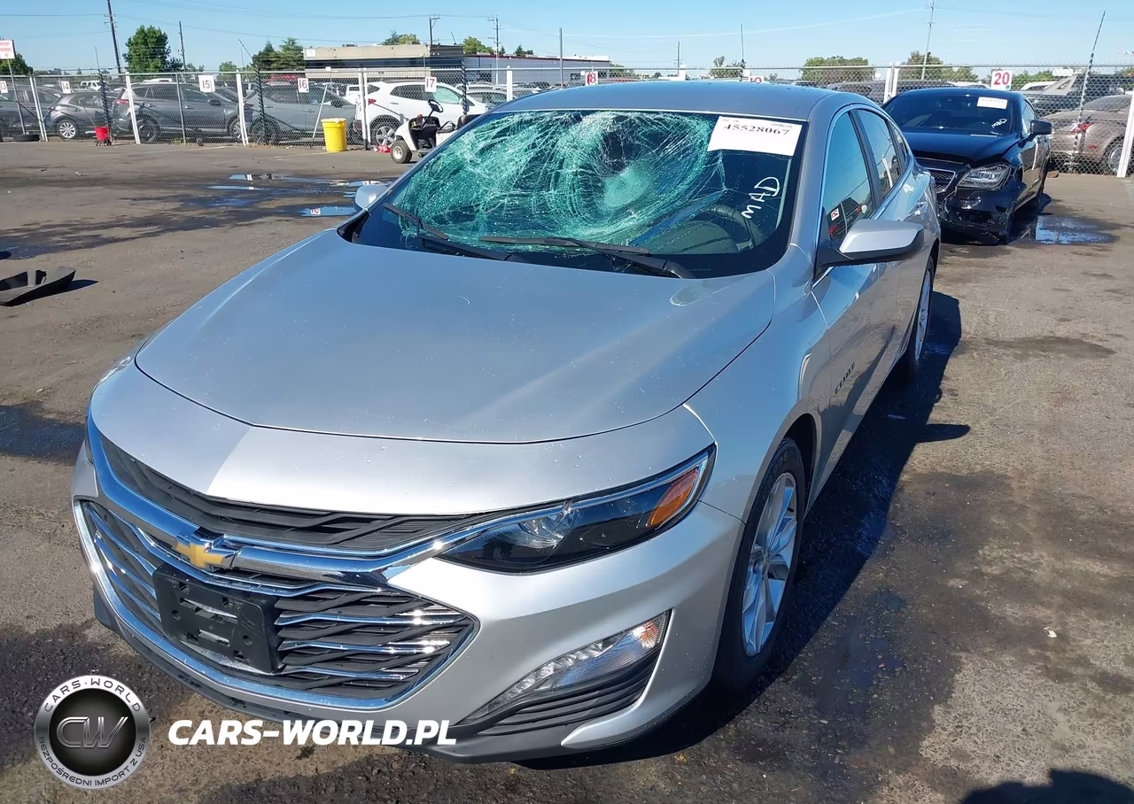 2019 Chevrolet Malibu Lt VIN:1G1ZD5STXKF156670 - 2