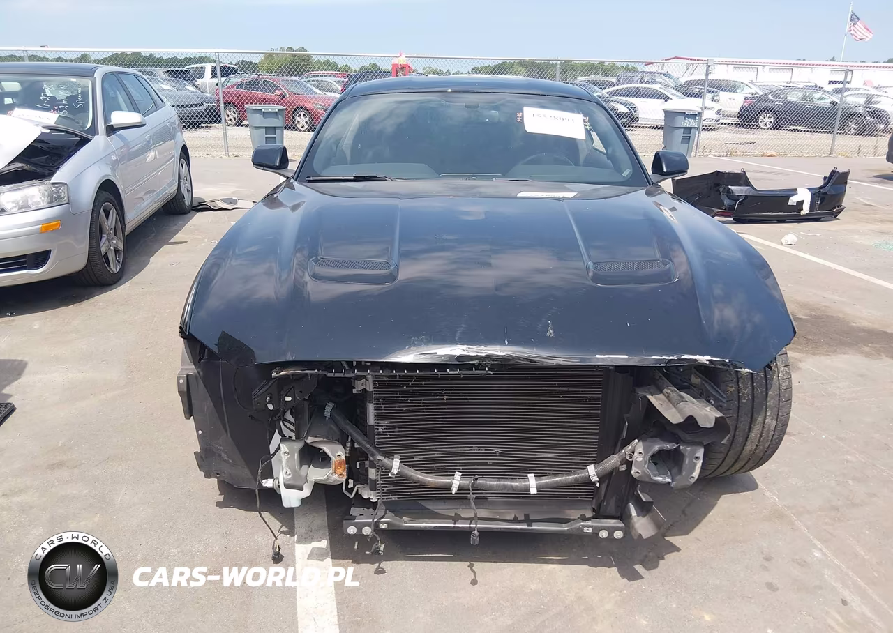 2019 Ford Mustang Gt-Gt Premium VIN:1FA6P8CF8K5101979 - 13