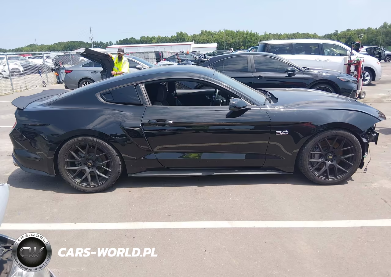 2019 Ford Mustang Gt-Gt Premium VIN:1FA6P8CF8K5101979 - 14