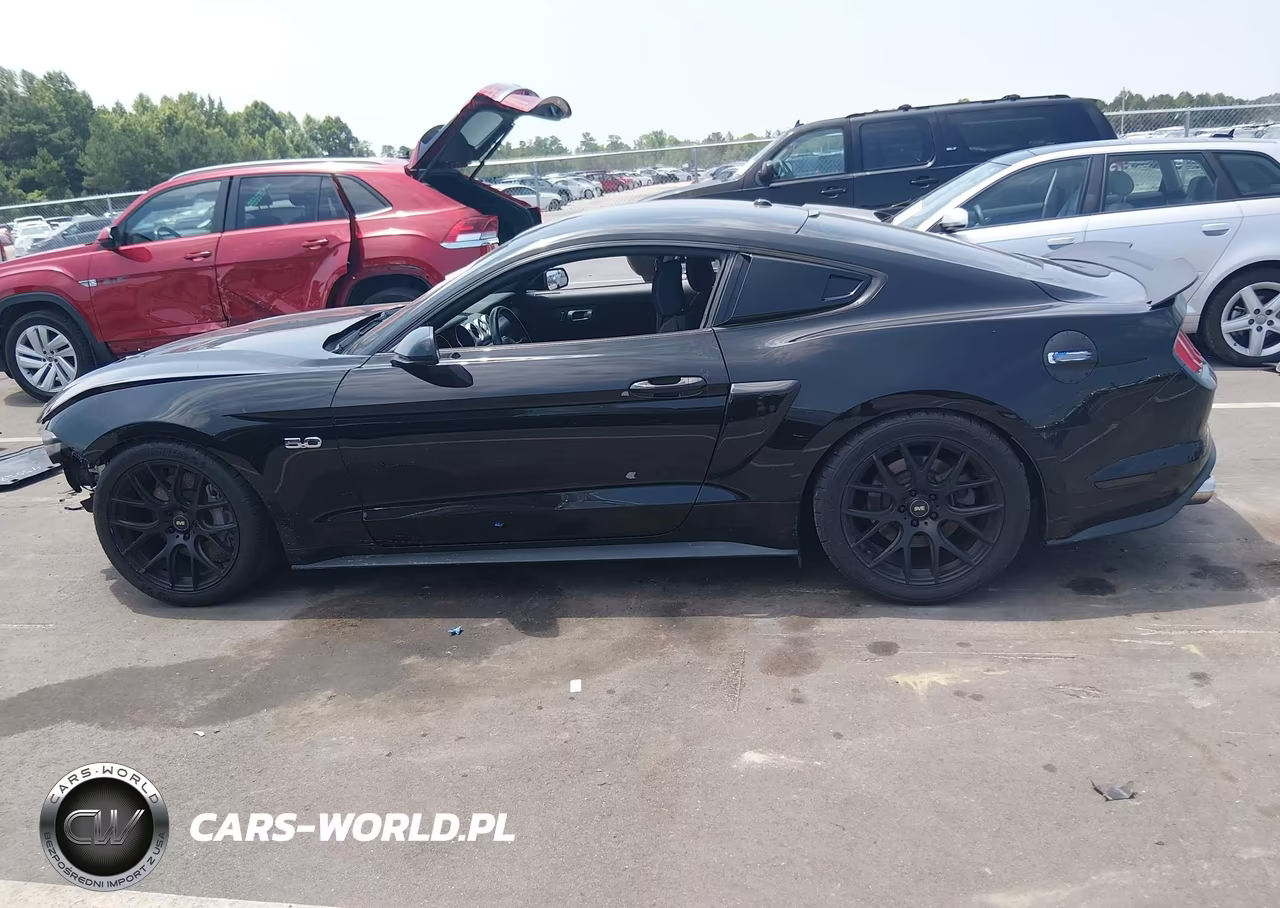 2019 Ford Mustang Gt-Gt Premium VIN:1FA6P8CF8K5101979 - 15