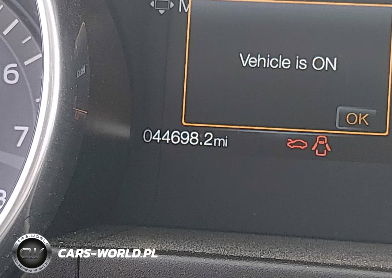 2019 Ford Mustang Gt-Gt Premium VIN:1FA6P8CF8K5101979 - 16