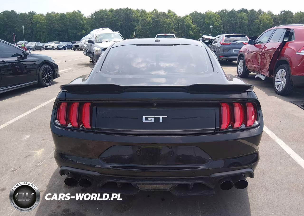 2019 Ford Mustang Gt-Gt Premium VIN:1FA6P8CF8K5101979 - 17