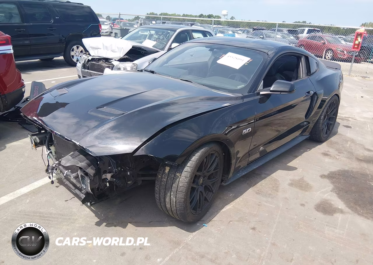 2019 Ford Mustang Gt-Gt Premium VIN:1FA6P8CF8K5101979 - 2