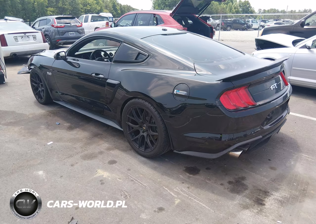 2019 Ford Mustang Gt-Gt Premium VIN:1FA6P8CF8K5101979 - 3