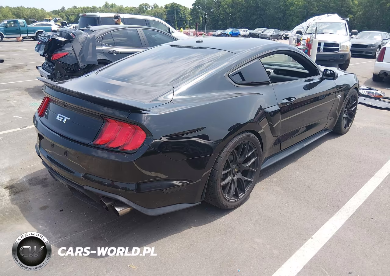 2019 Ford Mustang Gt-Gt Premium VIN:1FA6P8CF8K5101979 - 4