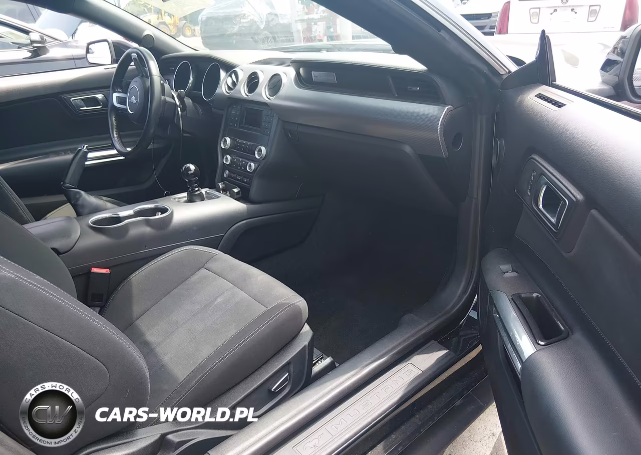 2019 Ford Mustang Gt-Gt Premium VIN:1FA6P8CF8K5101979 - 5