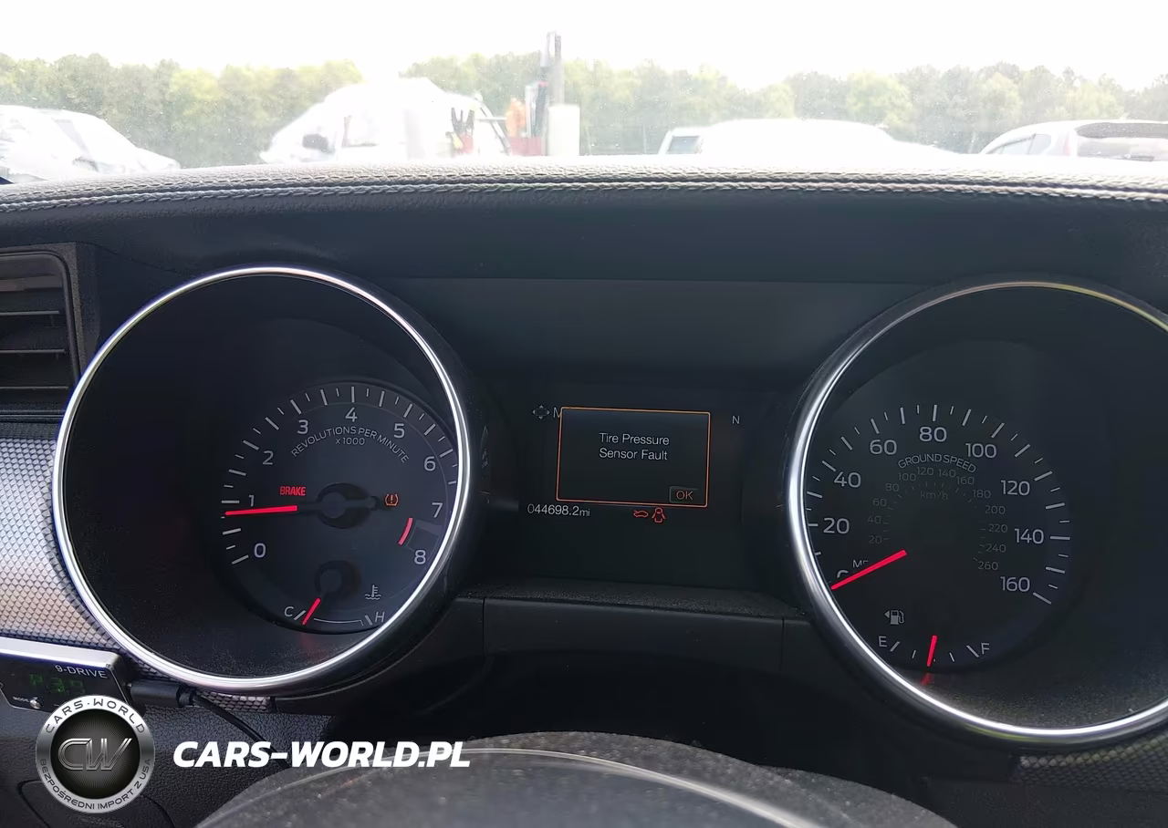 2019 Ford Mustang Gt-Gt Premium VIN:1FA6P8CF8K5101979 - 7