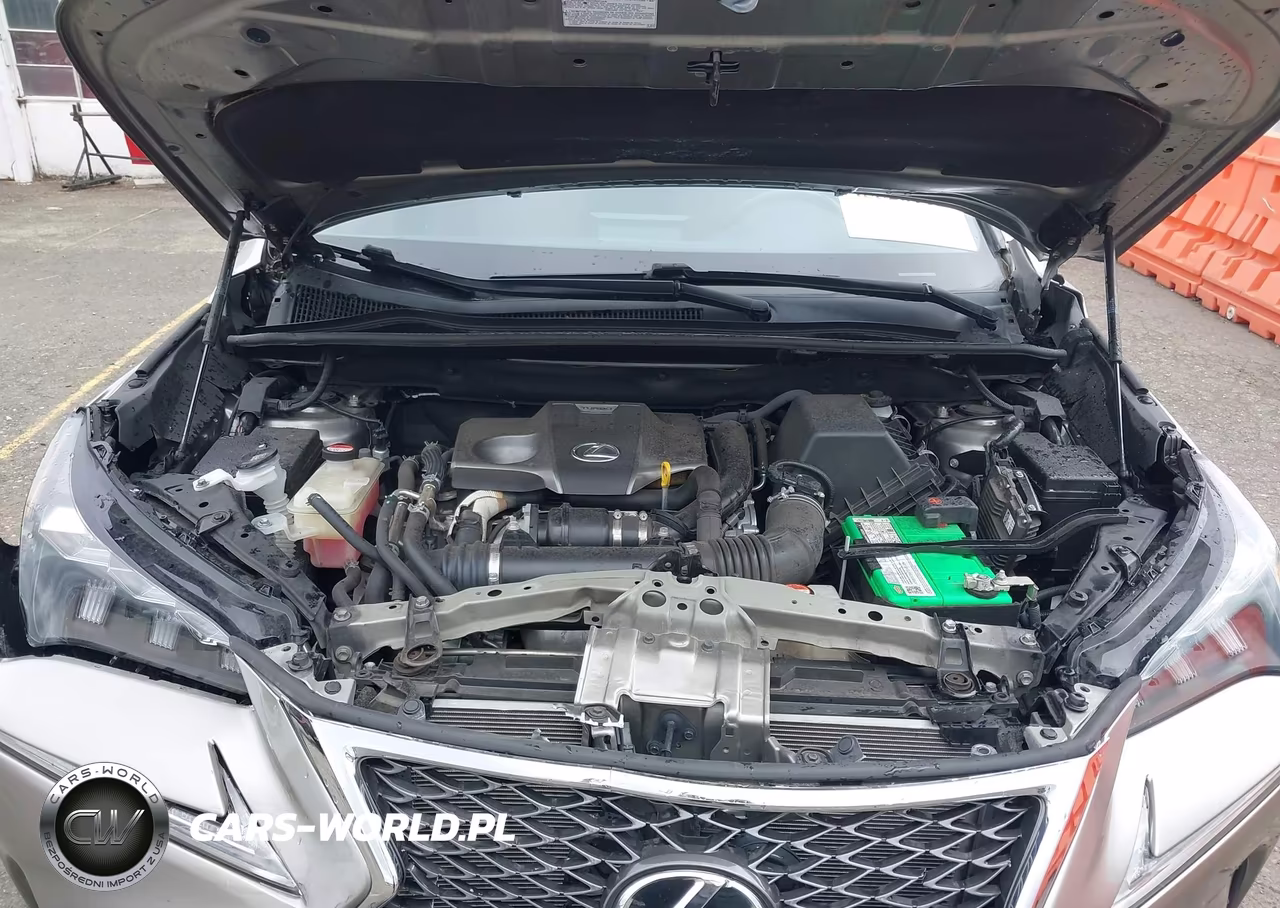 2015 Lexus Nx 200T F Sport VIN:JTJBARBZ7F2045842 - 10